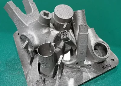 Complicated 3d Metal Printed Part